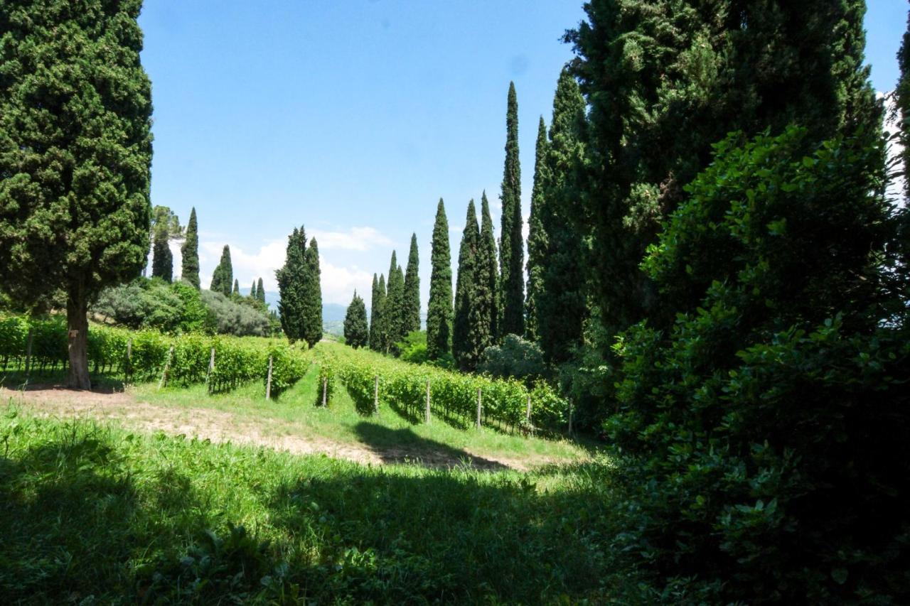 Villa Betteloni Valpolicella Suites San Pietro in Cariano Εξωτερικό φωτογραφία